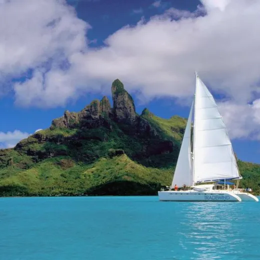 Sail Boat in HI