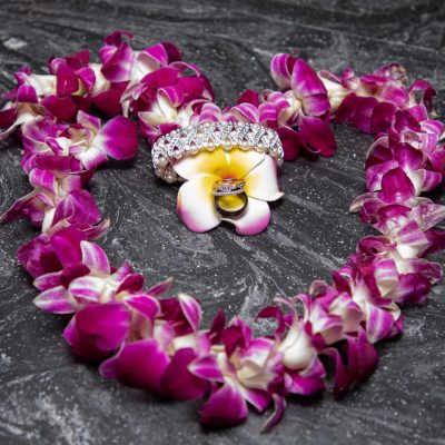 a close up of a flower