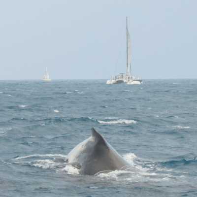 a small boat in a body of water