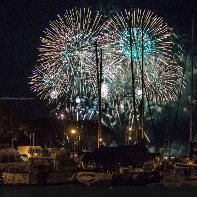 fireworks in the night sky