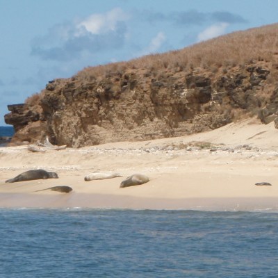 a body of water with a mountain in the background