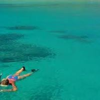 a person swimming in a body of water