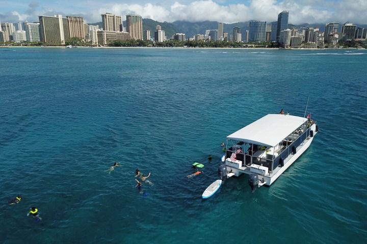 People snorkeling around a boat near a city skyline across the ocean.